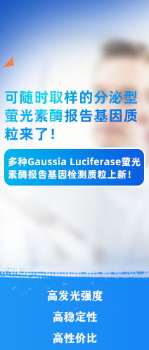 CDK6 兔单克隆抗体技术服务全解析